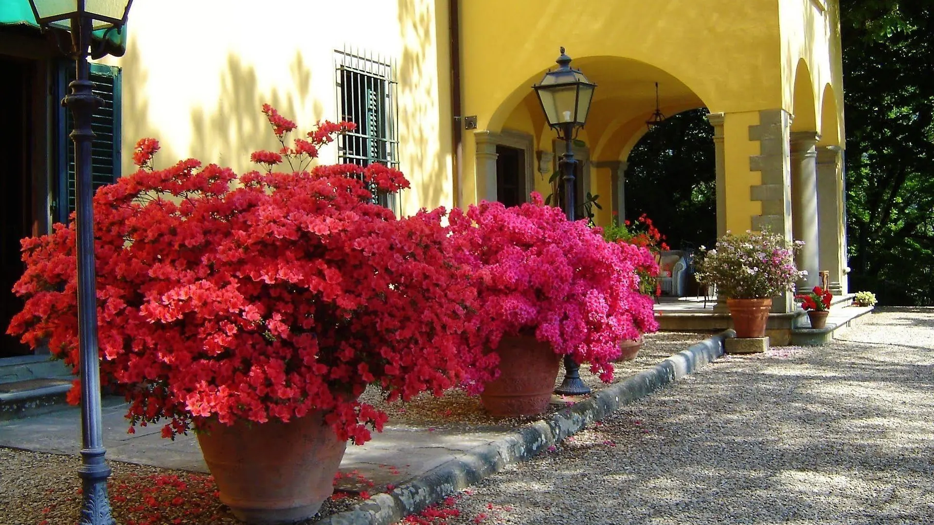 Gasthaus Il Trebbiolo Florenz Landhaus